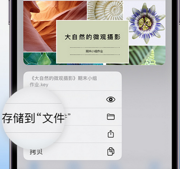 巴南apple维修中心分享iPhone文件应用中存储和找到下载文件