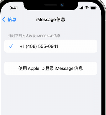 巴南apple维修iPhone上无法正常发送iMessage信息 