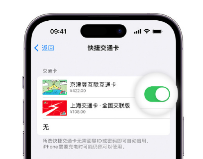 巴南apple维修点分享iPhone上更换Apple Pay快捷交通卡手绘卡面 