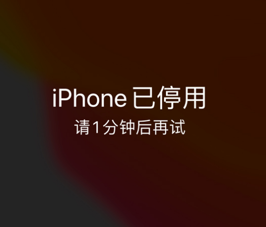 巴南苹果手机维修分享:iPhone 显示“不可用”或“已停用”怎么办？还能保留数据吗？ 