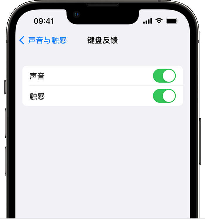 巴南苹果14维修店分享如何在 iPhone 14 机型中使用触感键盘 