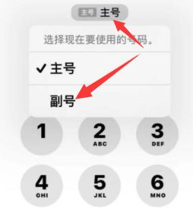 巴南苹果14维修店分享iPhone 14 Pro Max使用副卡打电话的方法 