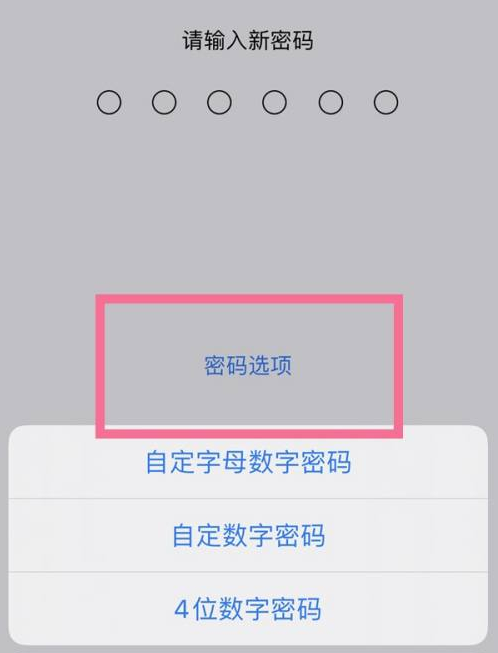 巴南苹果14维修分享iPhone 14plus设置密码的方法 