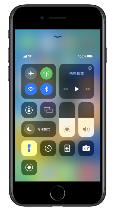 巴南苹果14维修分享苹果iPhone 14 Pro手电筒开启方法 