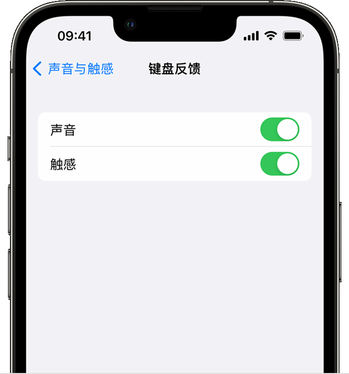 巴南苹果14维修分享iPhone 14 系列机型如何开启键盘声音或触感反馈 