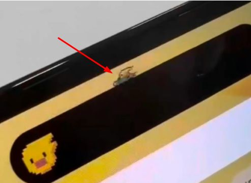 巴南苹果14维修分享iPhone 14 Pro Max灵动岛怎么养宠物 