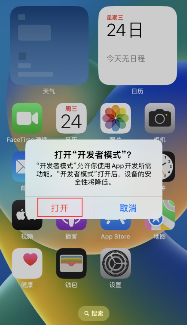 巴南苹果手机维修分享如何打开开发者模式 