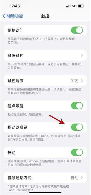 巴南苹果手机维修分享iPhone手机如何设置摇一摇删除文字 