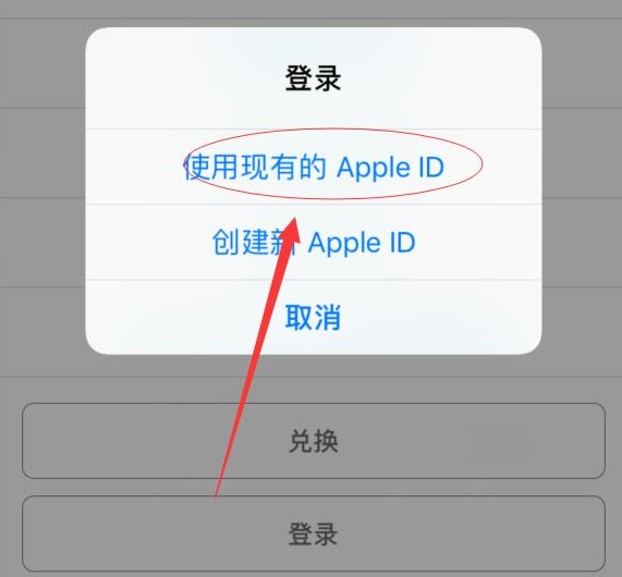 巴南苹果手机维修分享两台iPhone设备可以同时登录一个Apple ID吗 
