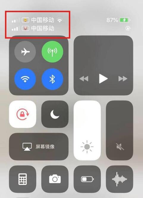 巴南苹果手机维修分享为 iPhone 12 双卡设置标签 
