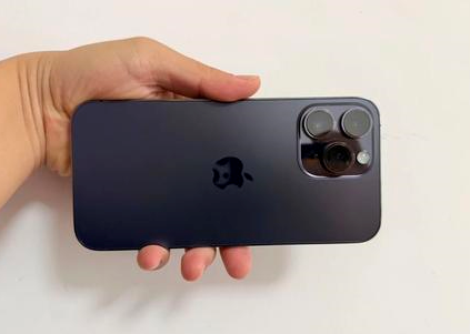 巴南苹果维修点分享iPhone 14 Pro Max黑屏少见故障盘点 